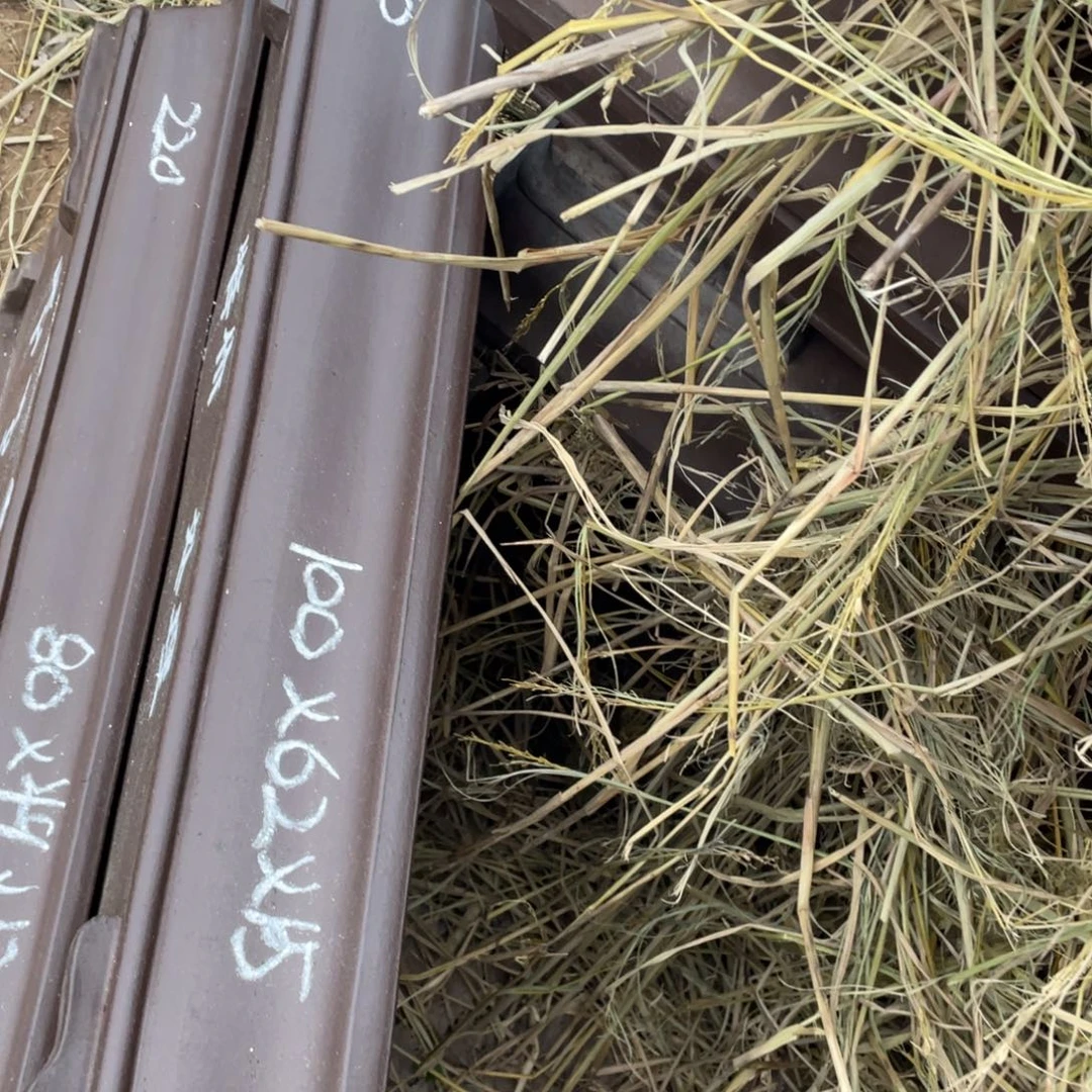 特价处理紫砂一只大号