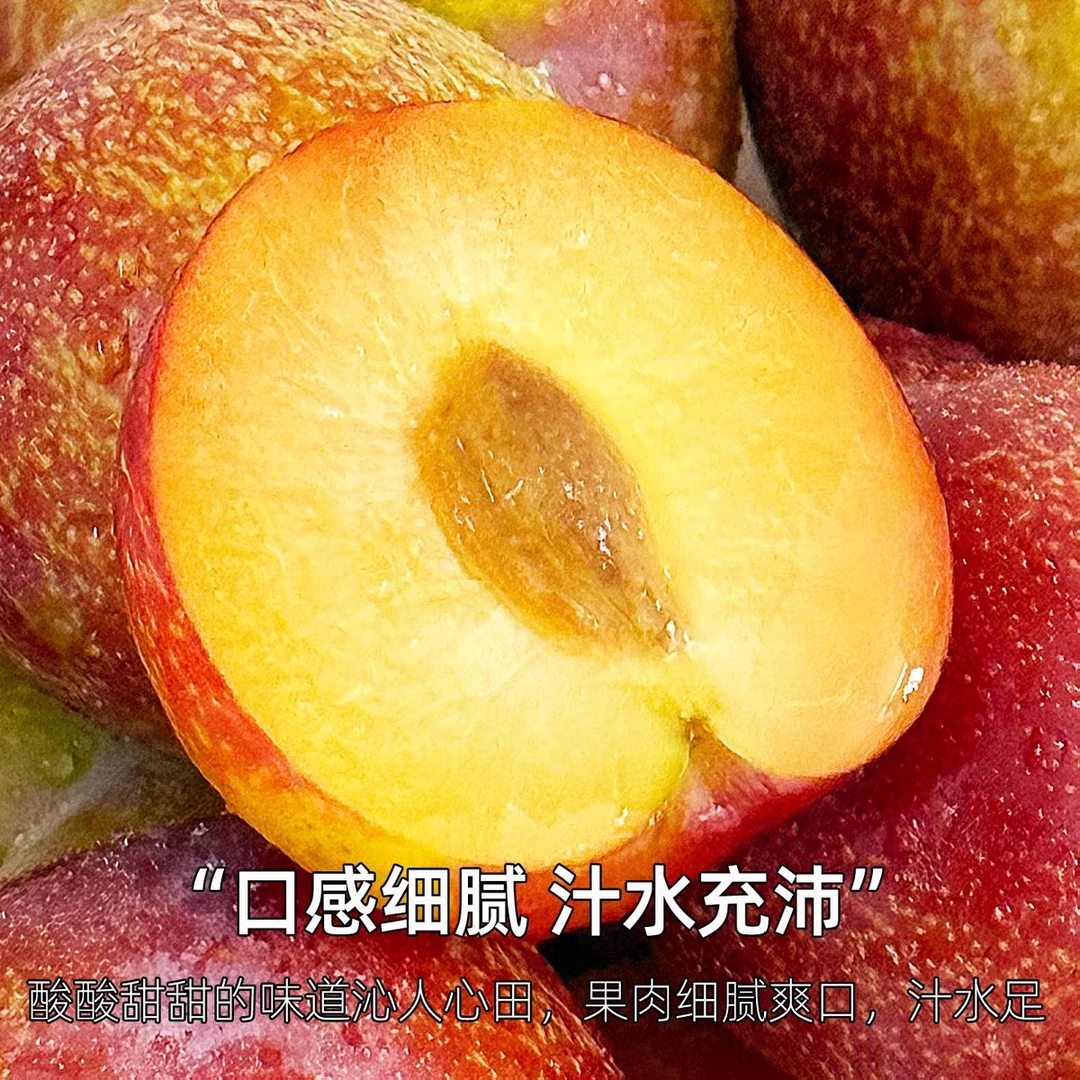 李子500g装 新鲜采摘当季黄肉纯甜大果新疆维吾尔自治区