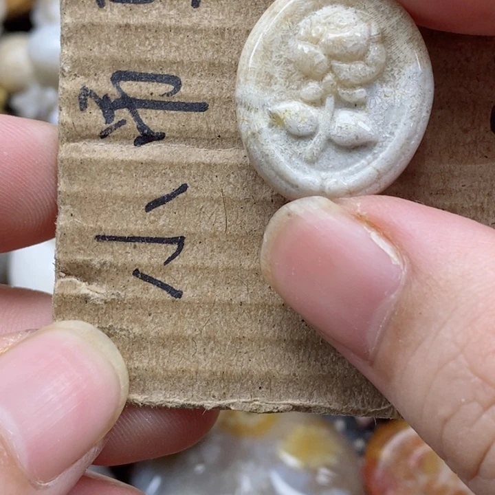 颈饰未镶嵌硅化珊瑚（珊瑚玉）小*奥