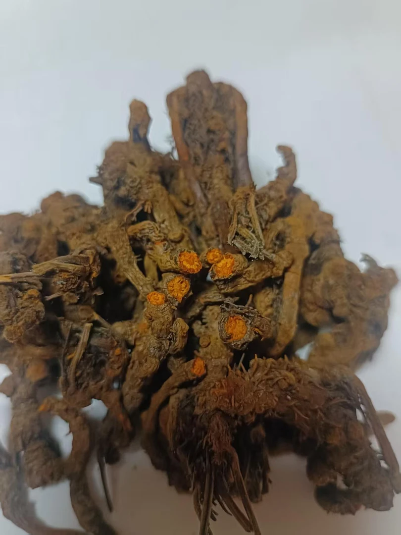 恩施黄连利川黄连高山黄连正宗正品