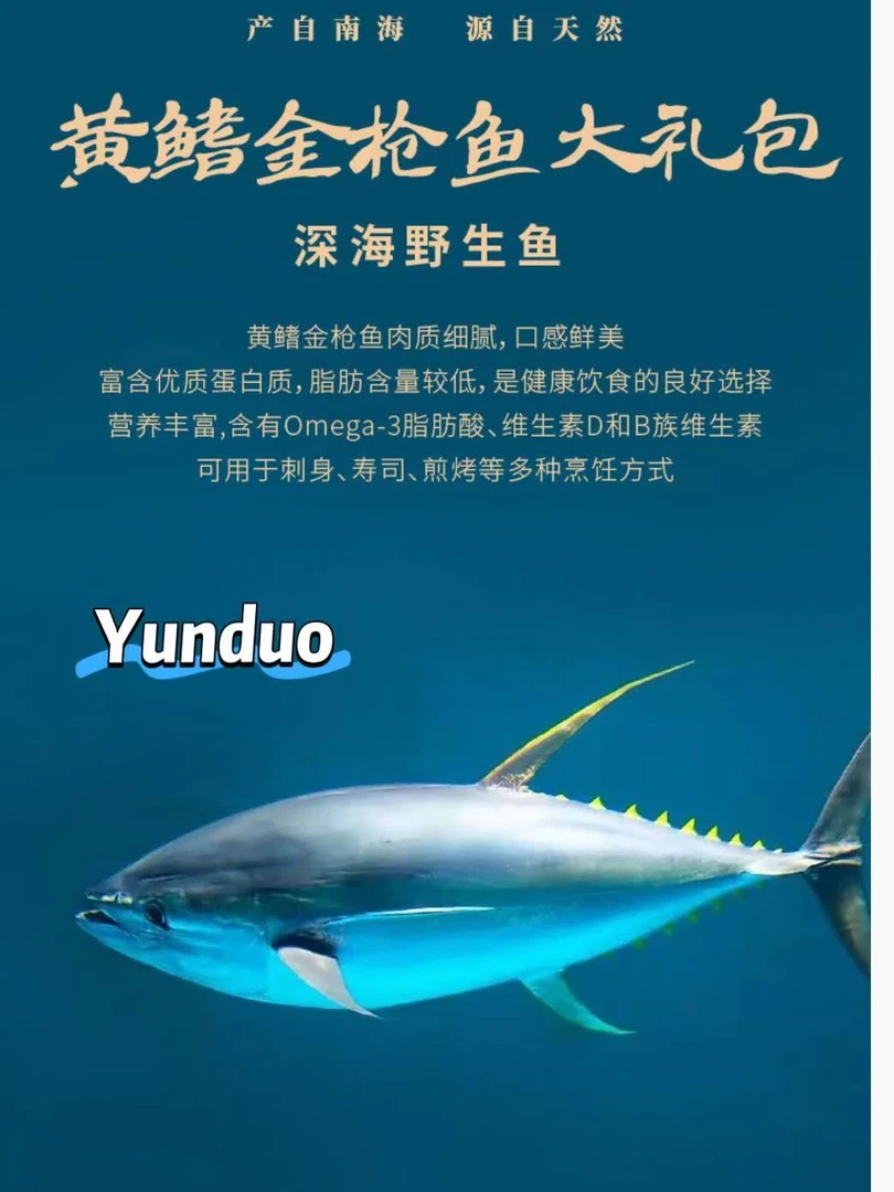 黄鳍金枪鱼礼包（5斤）顺丰京东随机空运