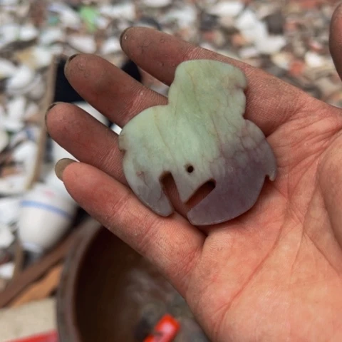 杂色豆（科檀/科特迪瓦檀木）一**人