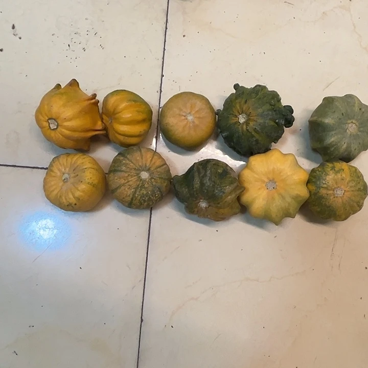 长***司墨西哥葫芦葫芦哭哭哭哭