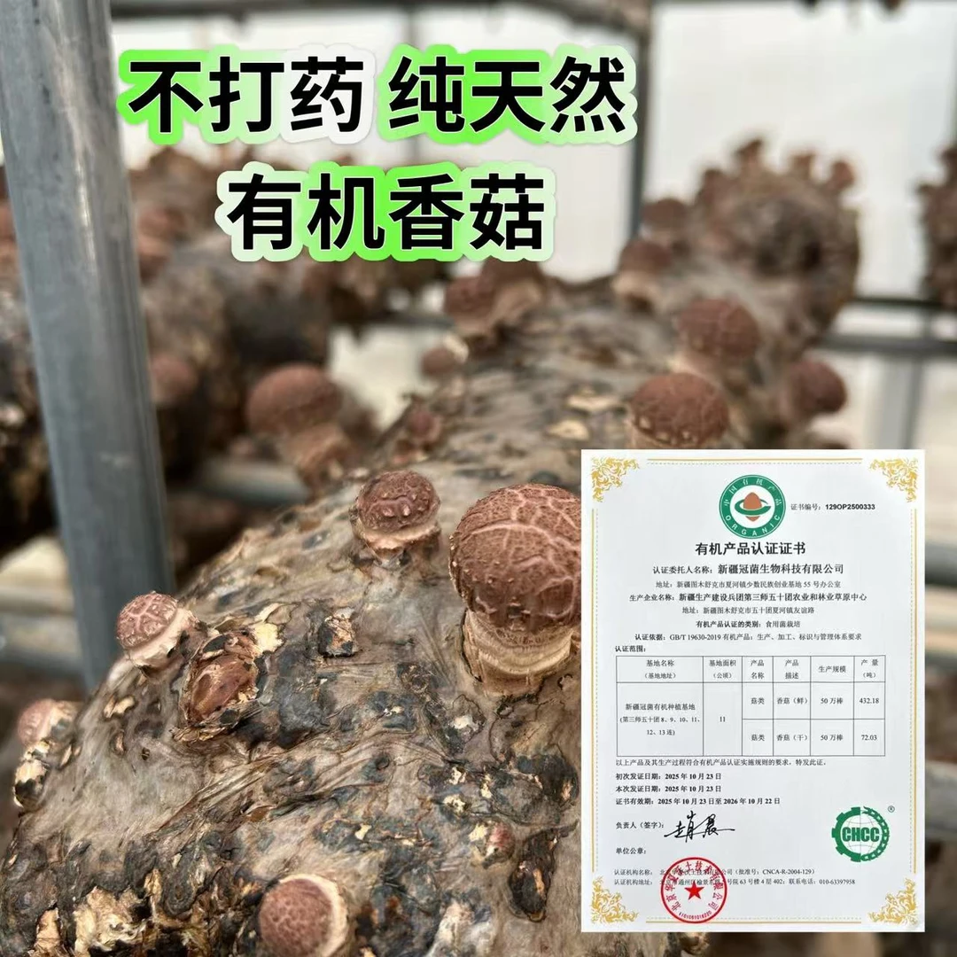 【十成干】新疆有机枣木香菇干自家晾晒风干十斤鲜菇出一斤香菇干