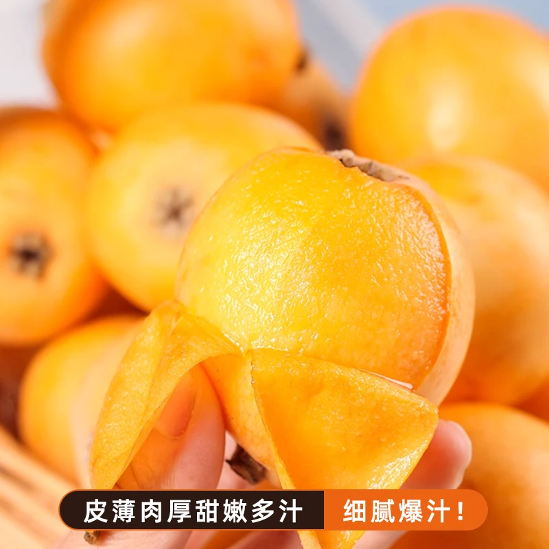 清甜枇杷【顺丰包邮】枇杷之乡大五星枇杷 产地直发 鲜甜肉厚