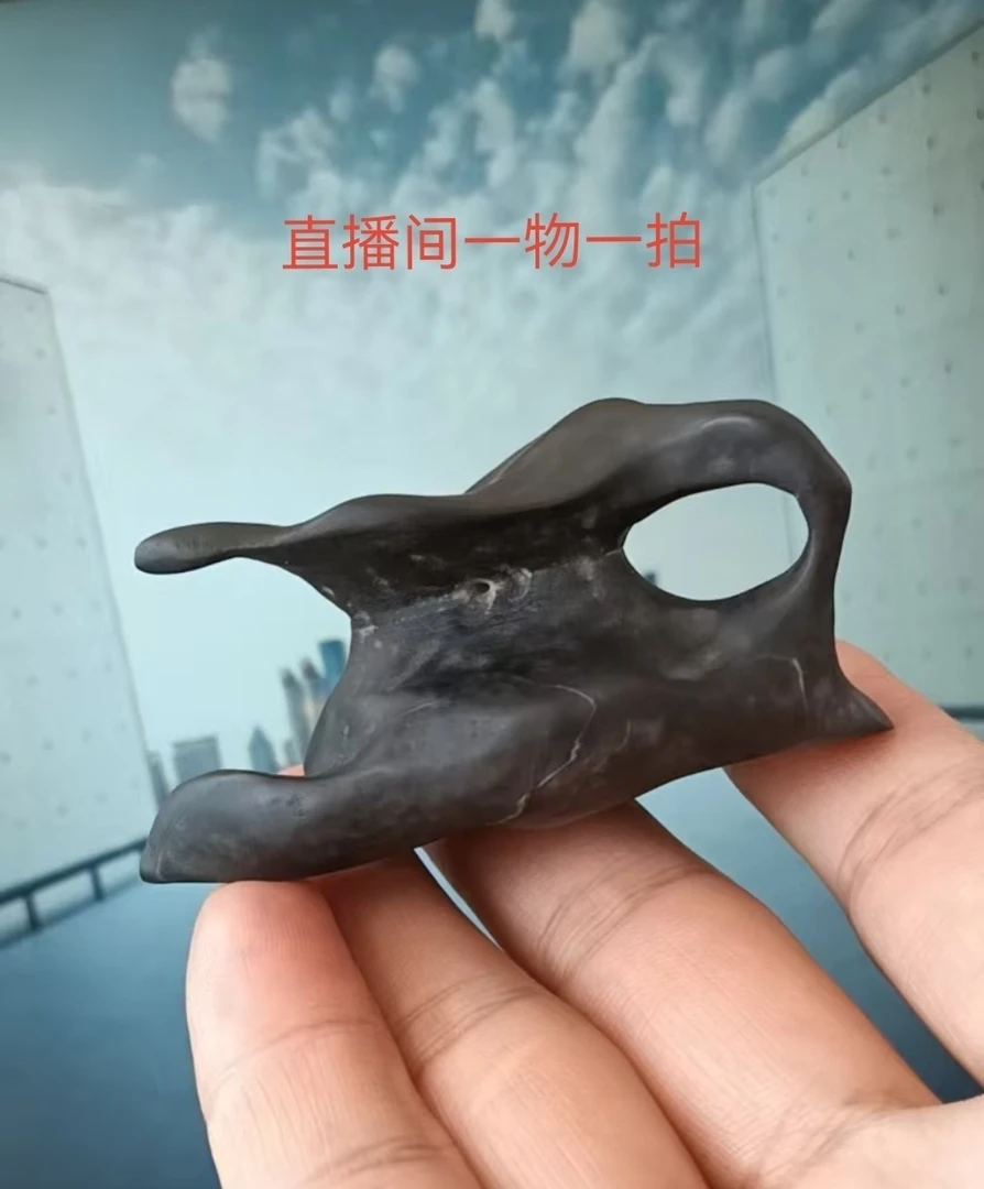 适合家庭装饰增添自然氛围