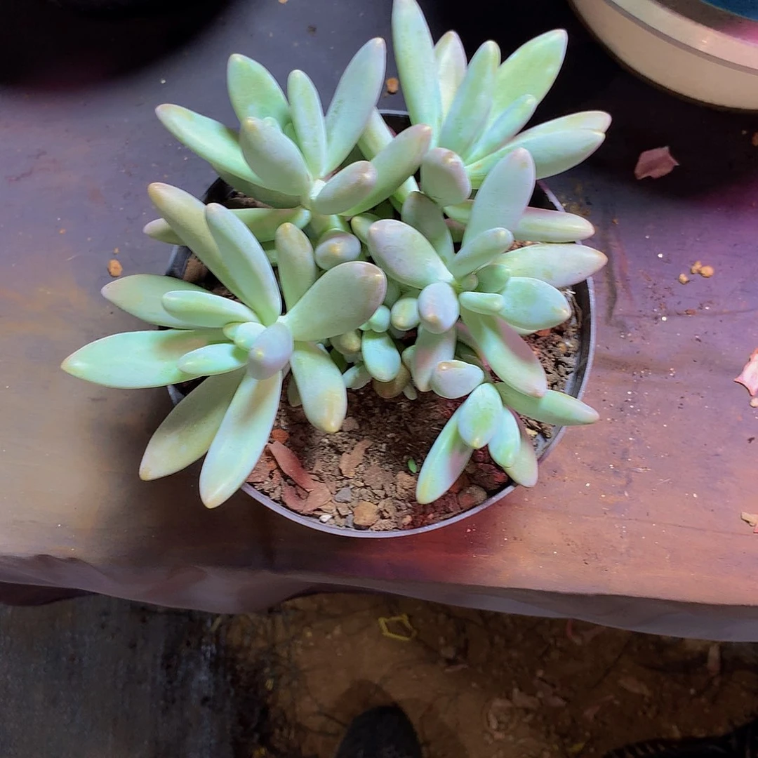 是***！哈哈哈哈哈哈哈哈哈哈