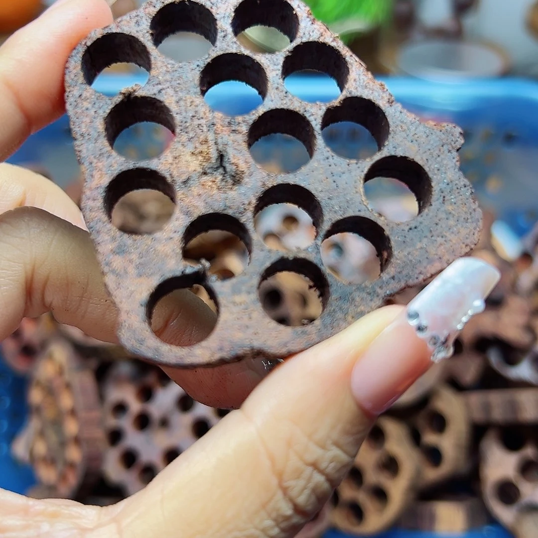 藤类降真香缅甸东枝料藕片1片2.88