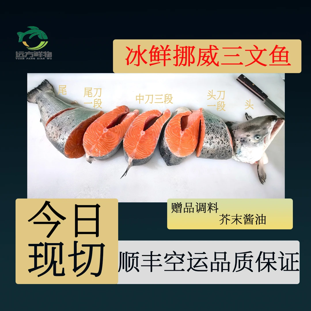 【中段】[冰鲜]挪威三文鱼 新鲜可生食刺身 约250g