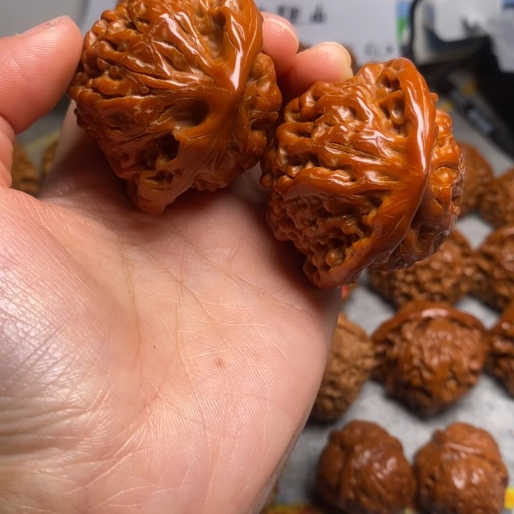 同***学大叶紫檀（黑酸枝木类）