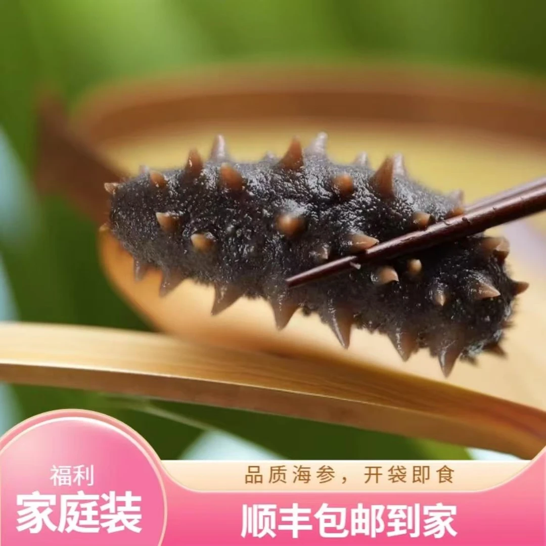 大连即食营养海参30-60只左右500g加两只试吃（活参加工 顺丰包邮）