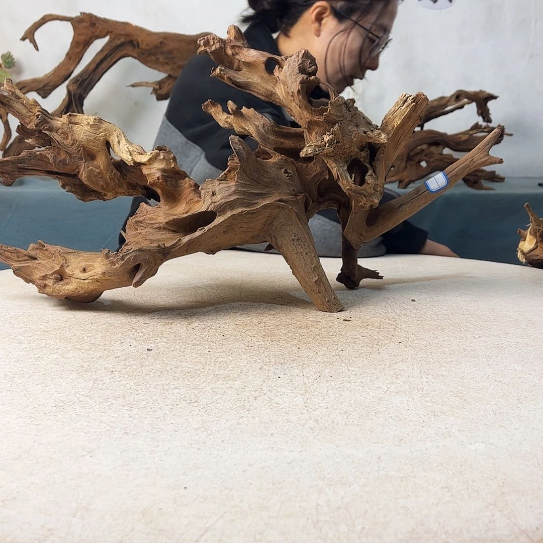 沉木造景爬宠造景