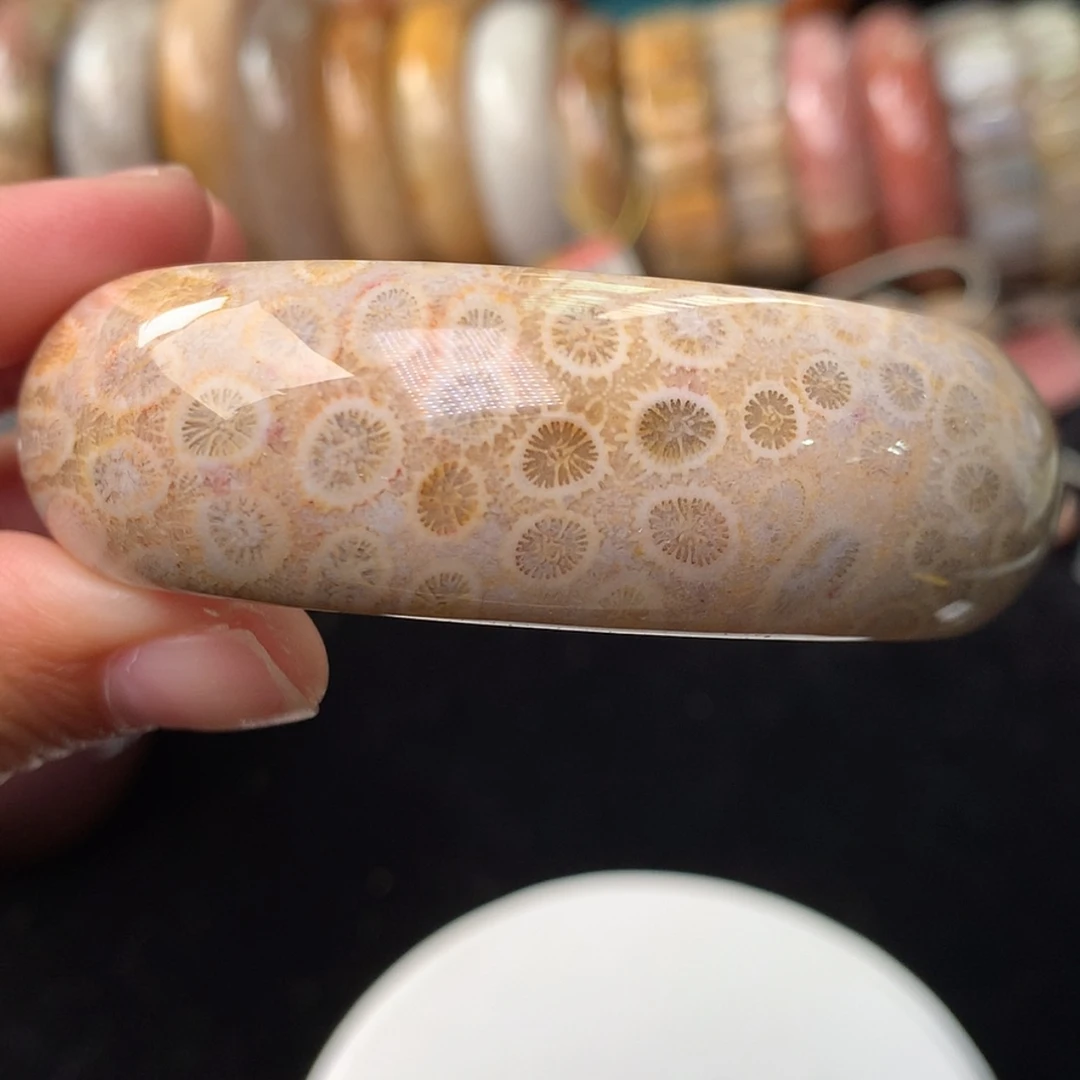 【闪购商品】硅化珊瑚（珊瑚玉）手镯未镶嵌圈口57