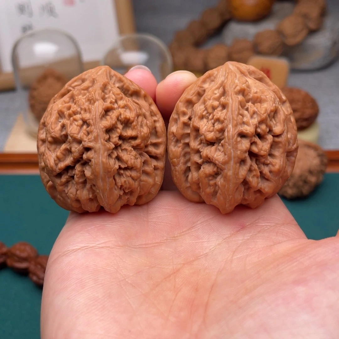 41➕全品无修平谷大粗筋