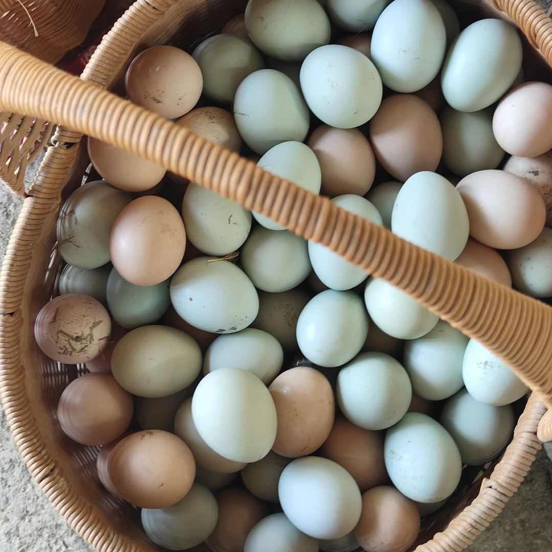 正宗竹林散养土鸡蛋(初生蛋15枚左右一斤)