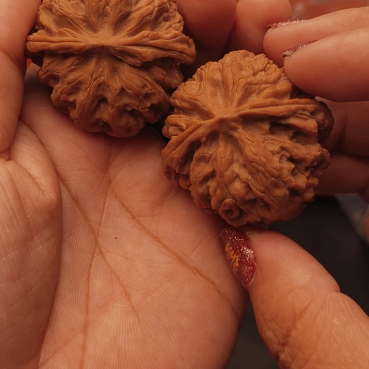 核桃苹果41尺核桃