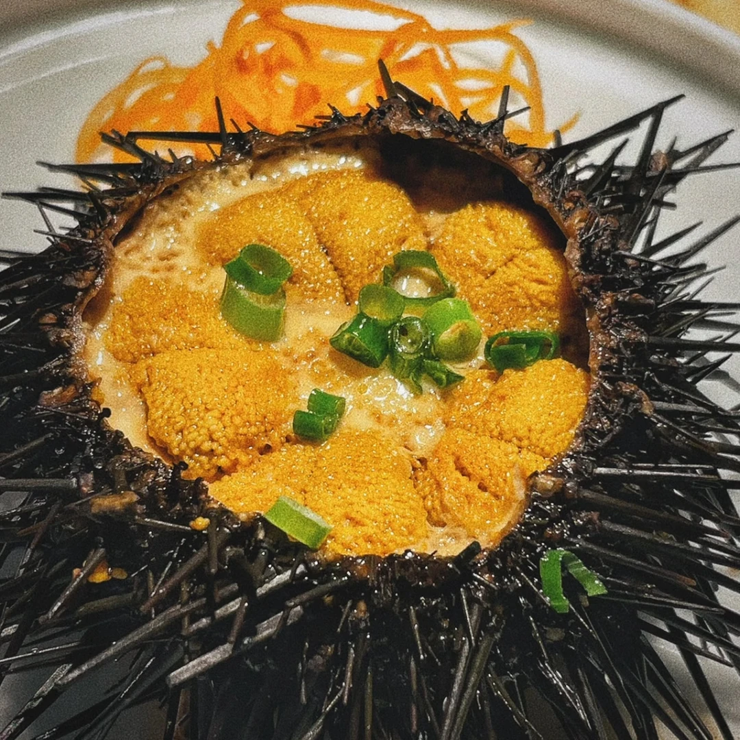 【哇噻】海胆蒸蛋一只-深夜食堂