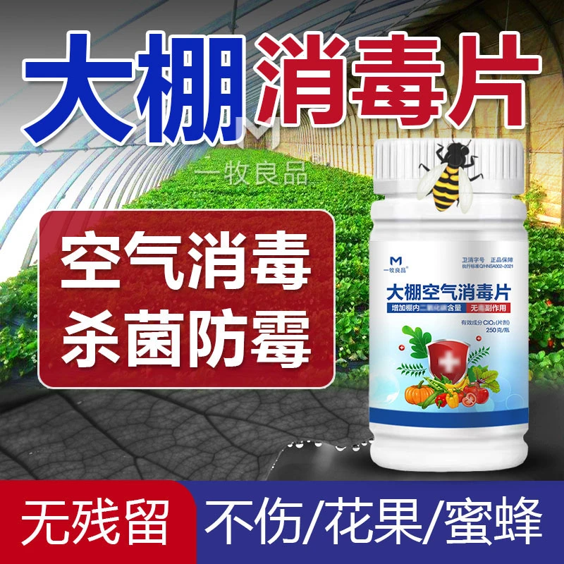 大棚空气消毒片温室大棚空气消毒杀菌草莓蔬菜花卉大棚消毒泡腾片