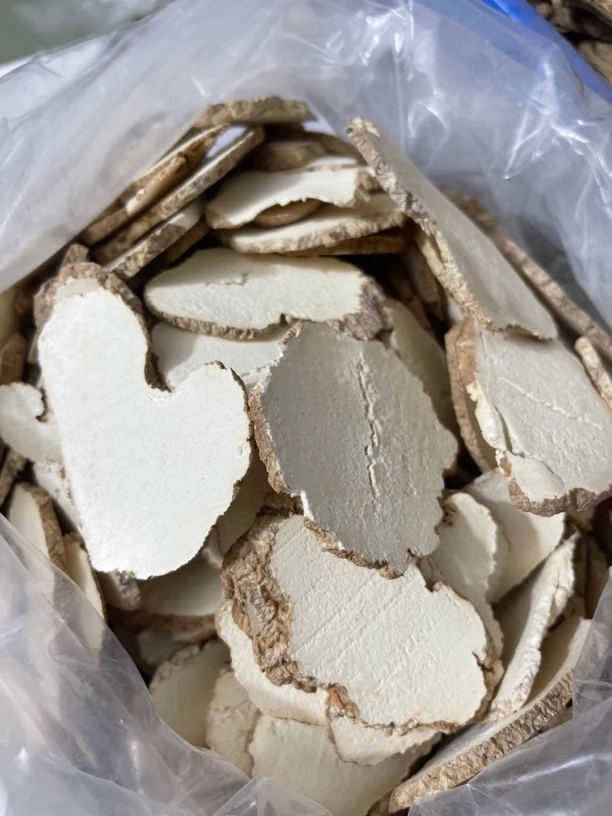 药材哥自卖精品马来虎乳菌