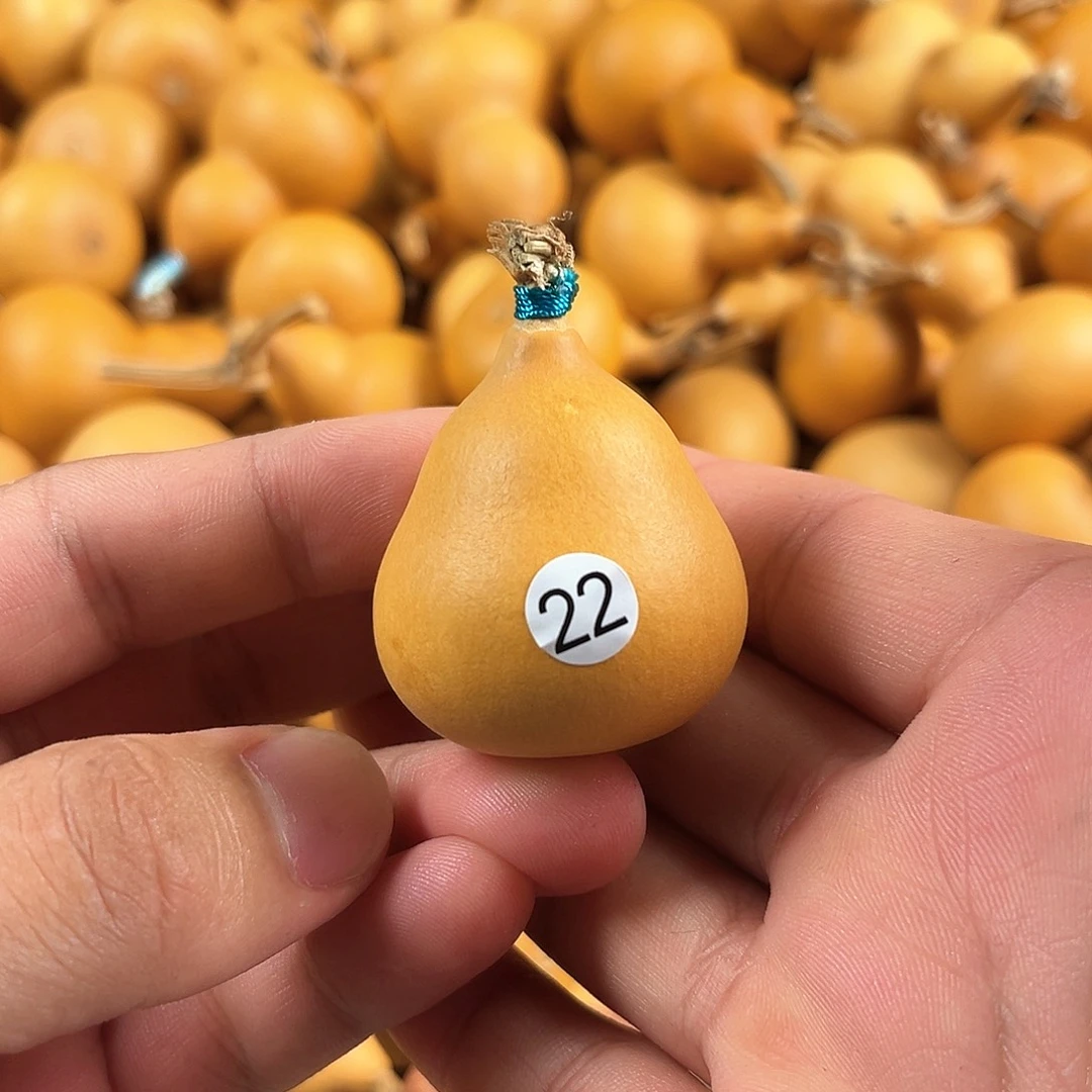 一葫芦葫芦葫芦葫芦22