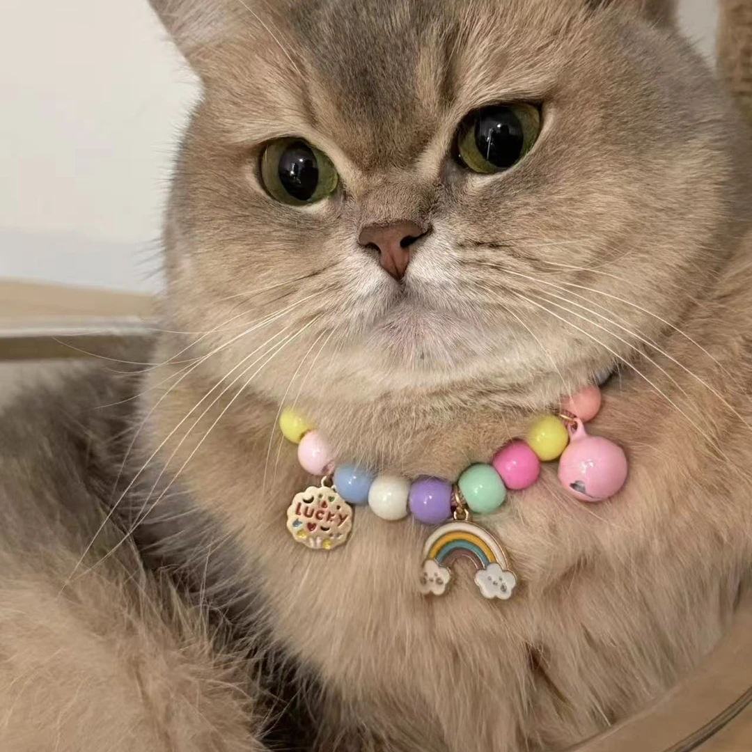 宠物猫猫项圈猫咪项圈猫项链狗狗小型犬项圈项链可爱可调节多巴胺