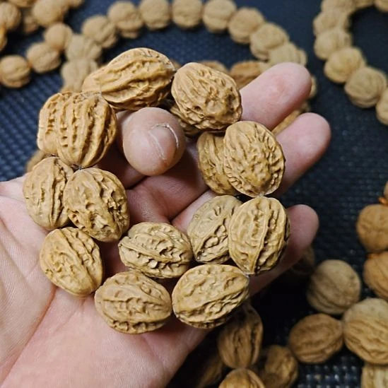 三***虎木质类纯野生山核桃