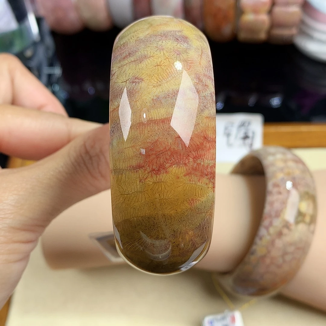 硅化珊瑚（珊瑚玉）未镶嵌吊坠(赠链)51号54圈口