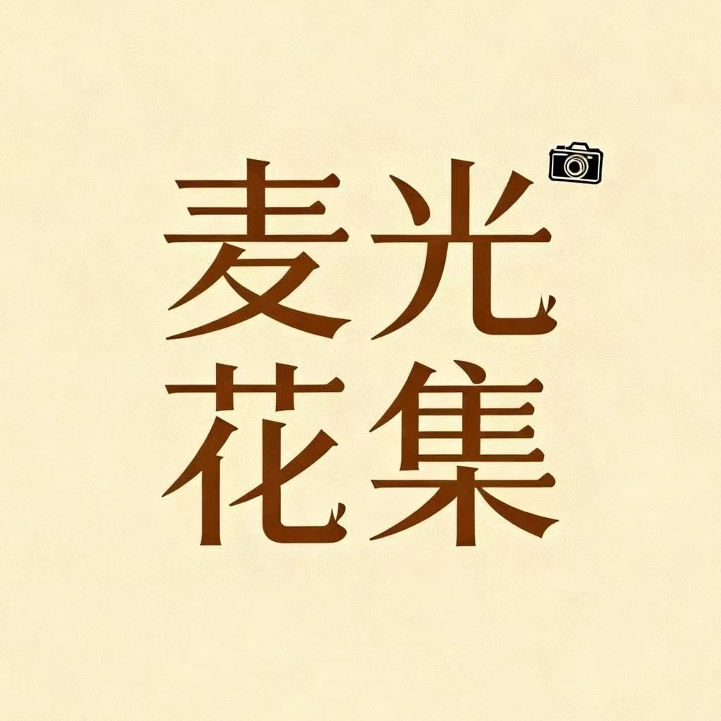 麦光花集 手工仿真植物盆景