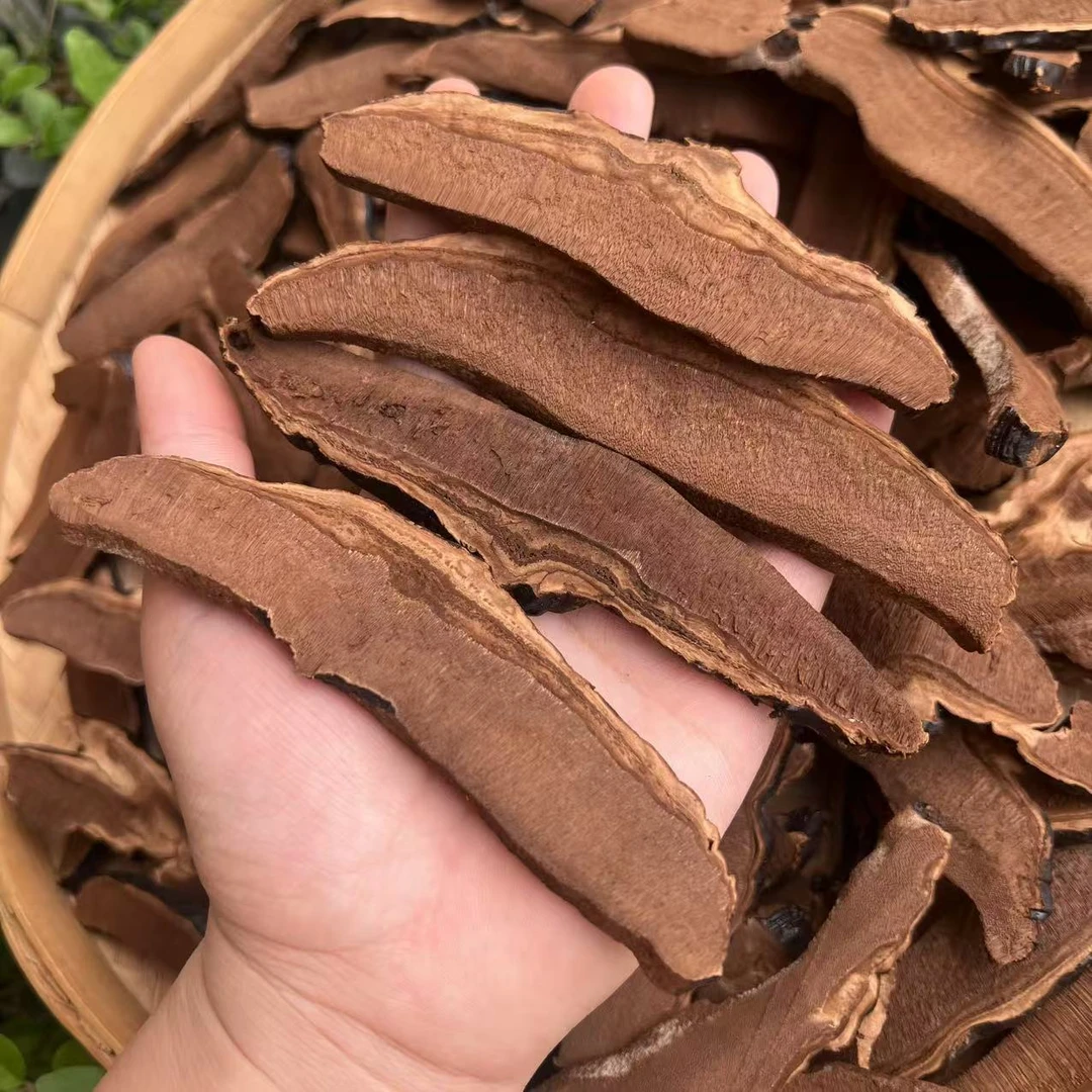 深山【黑灵芝切片】农家山货