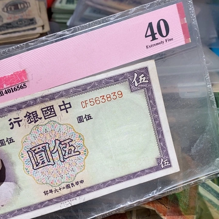 闪购链接88888888888881