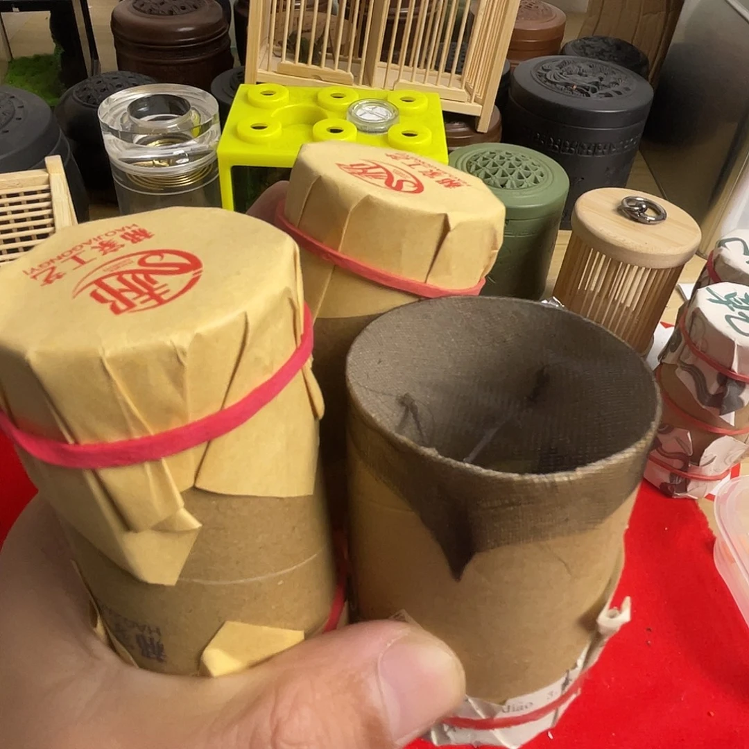 蝈蝈两郝建伟断须，一只铁青