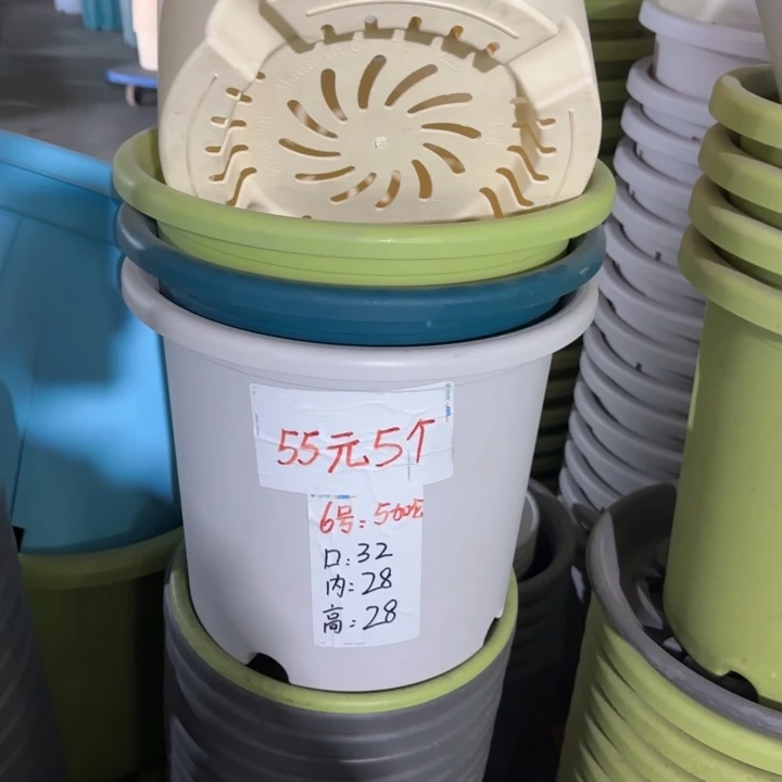 微瑕6#口径32无托果绿5个