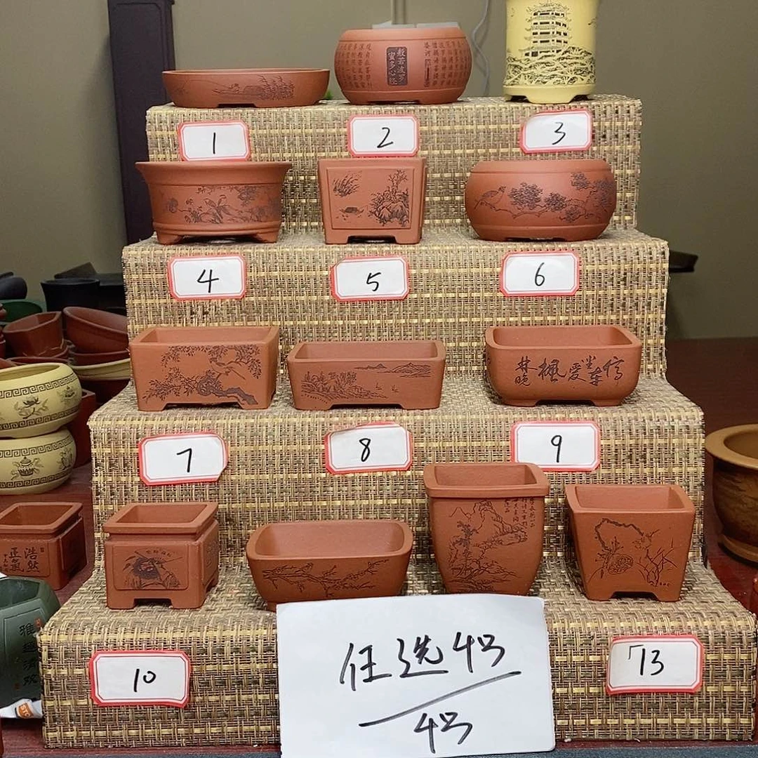紫砂花盆我在等一