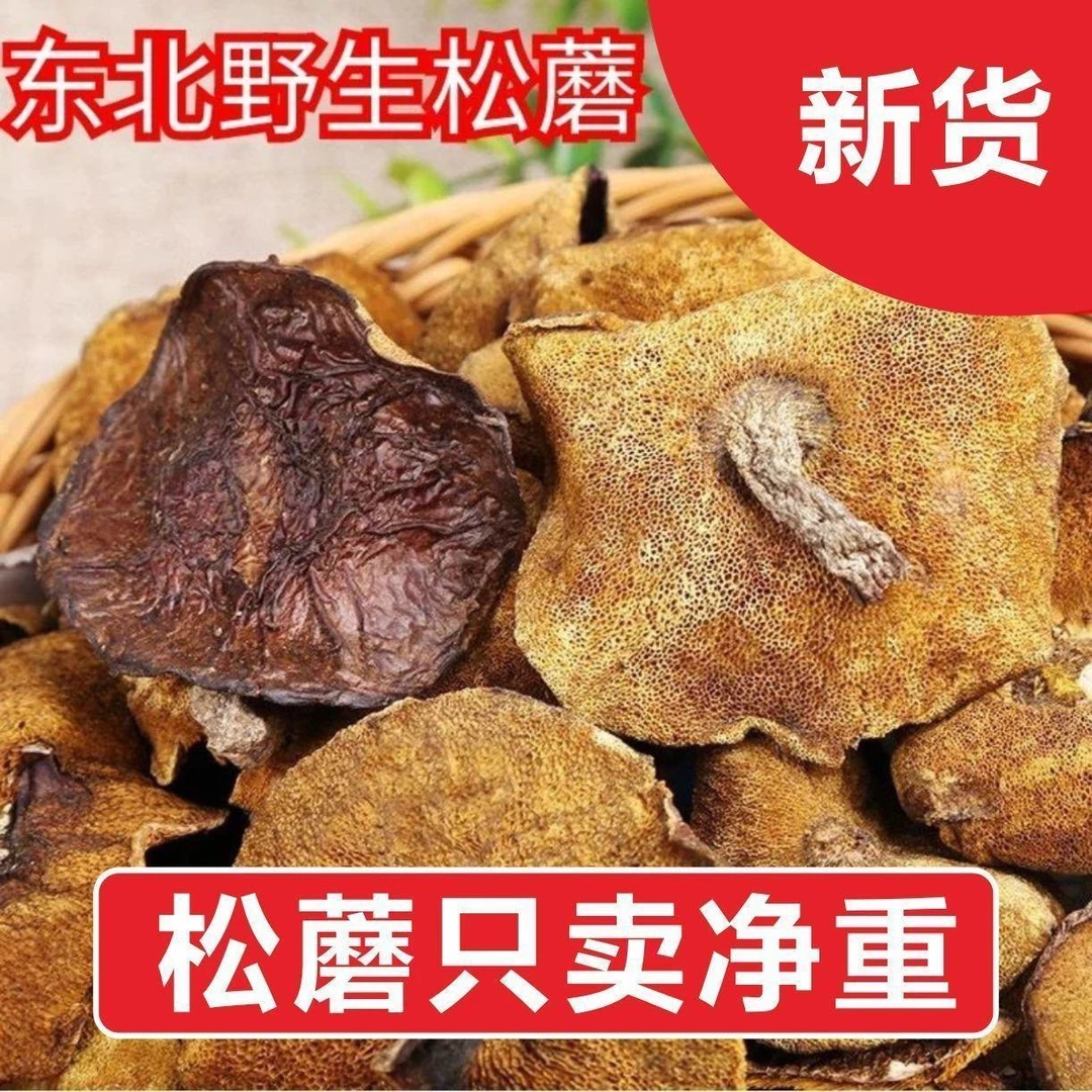 东北特产松蘑菇松菇粘蛾子松娥粘团子松树蘑干货新鲜菌菇500g