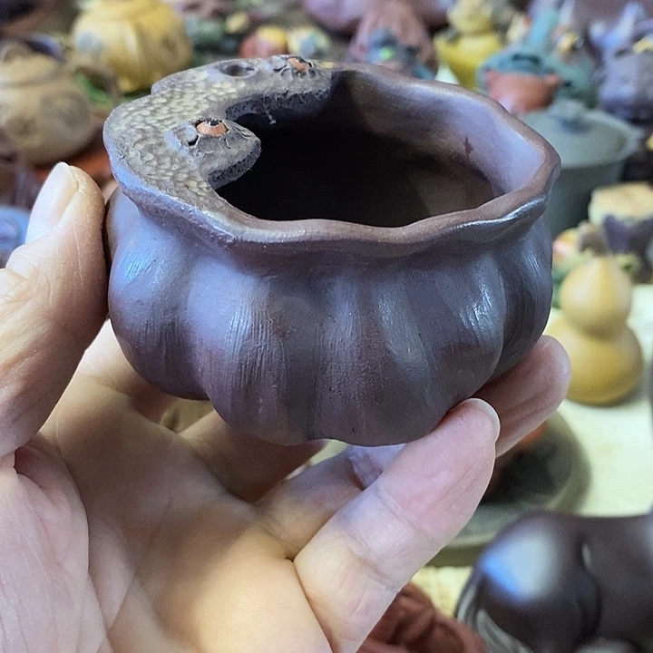 紫砂紫砂紫砂紫砂中