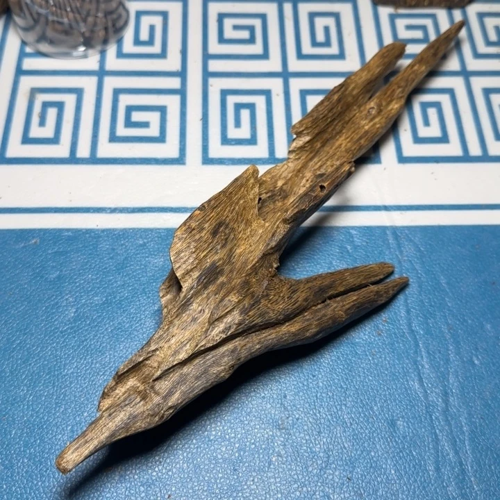 木质绿奇陆河虫漏60克