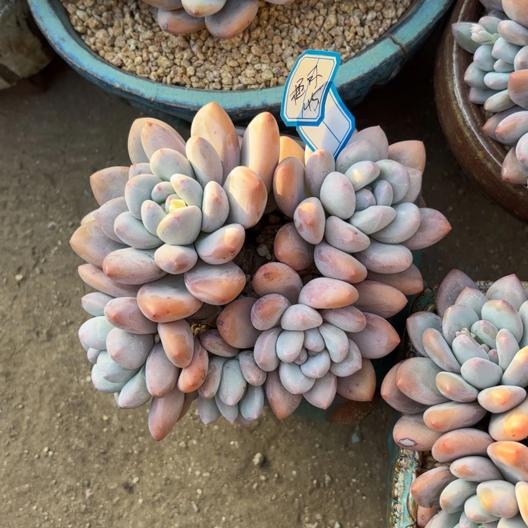 111111111111111111111