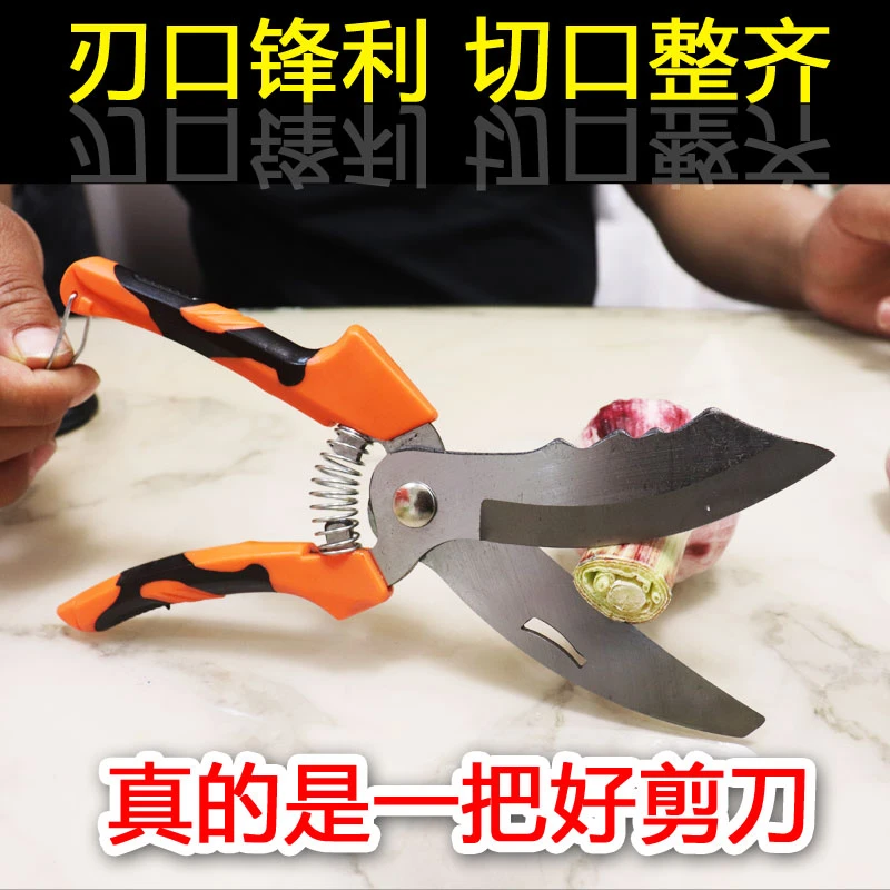 大蒜剪刀专用剪蒜根农用轻便省力多功能家用剪子手动工剪大蒜工具