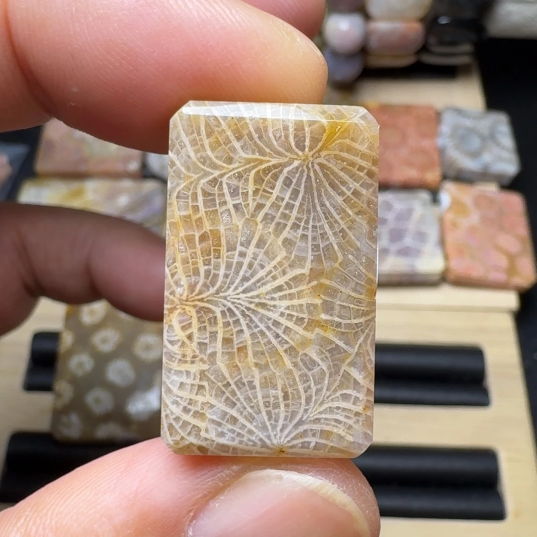 硅化玉未镶嵌纯天然色有机玉石保真色