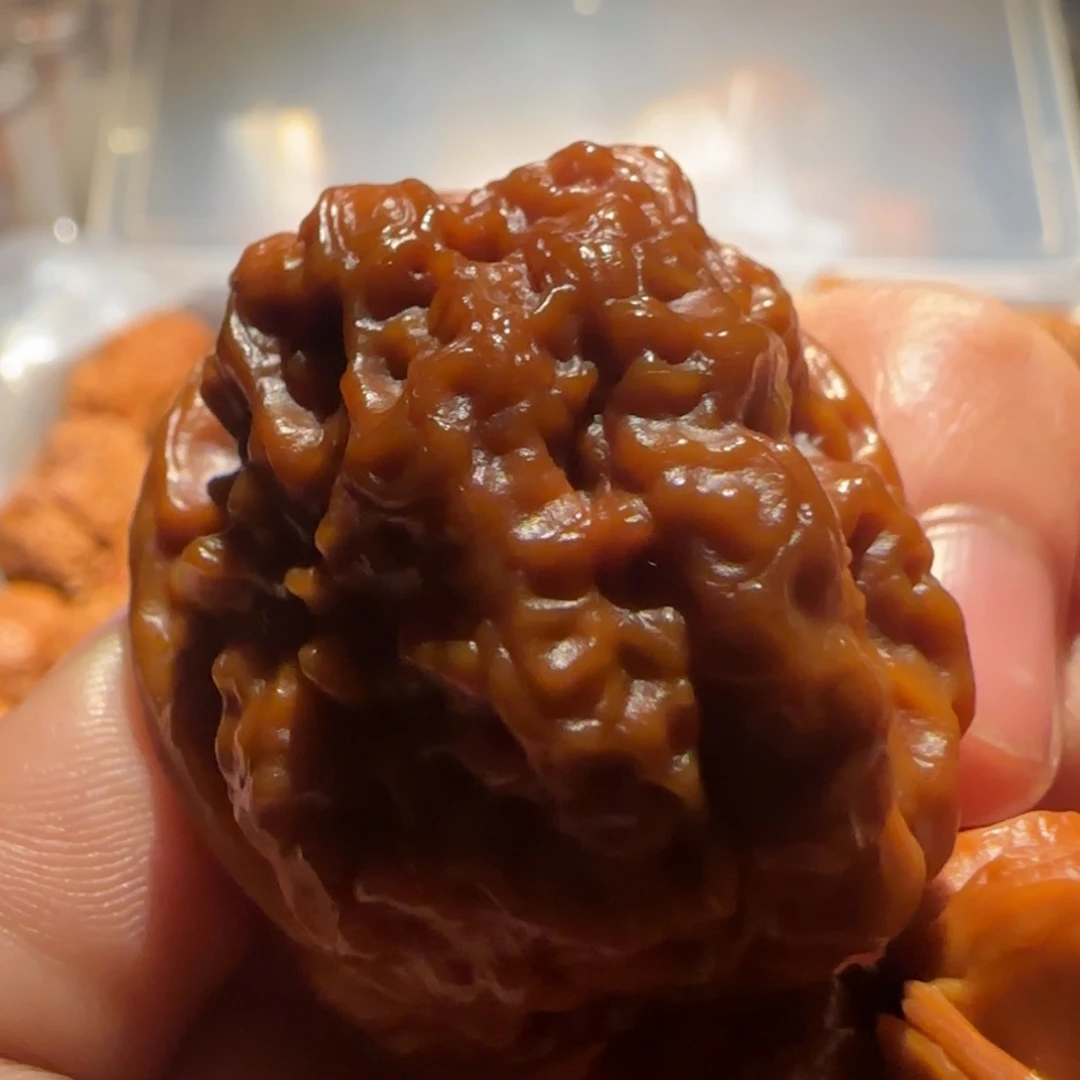 把件文玩核桃古柏金蟾