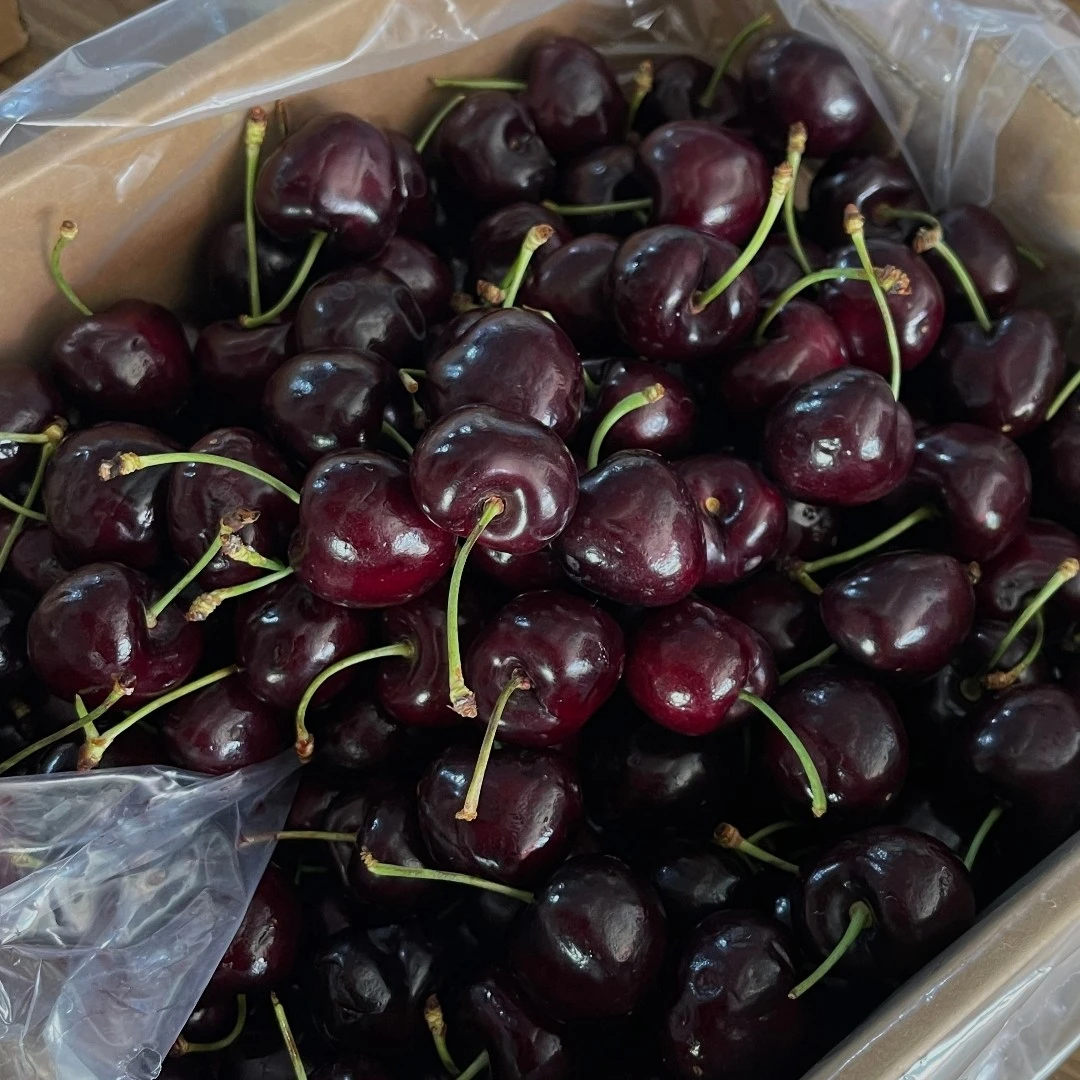 智利空运进口的3JDD桑缇娜车厘子1箱5斤装，脆甜多汁冰糖脆加纳