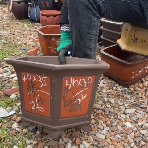 紫砂花盆紫砂花盆盆景盆栽