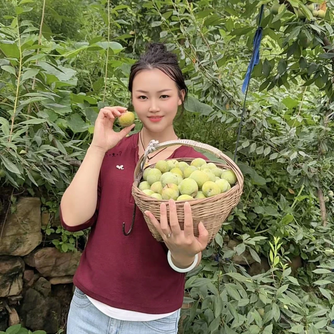 鸡鸣三省的凤凰脱骨李（顺丰快递包邮）