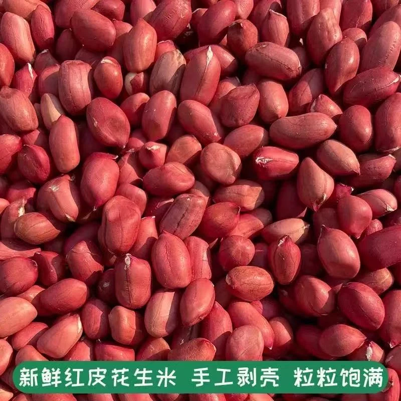 2025红皮花生米新红衣小粒生花生仁四粒红花生干花生粒包邮营养