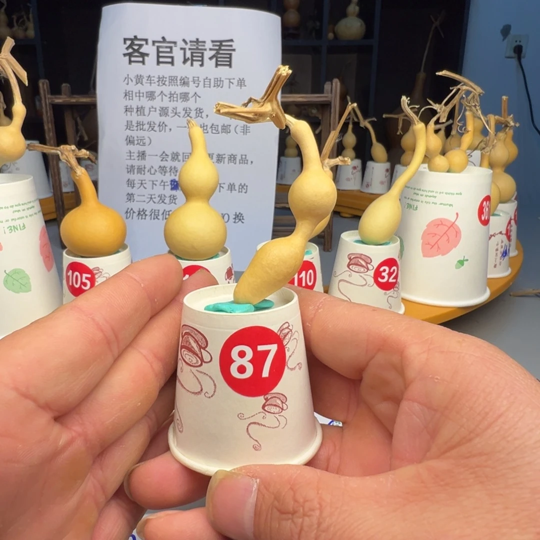 闪电购自助下单编号87