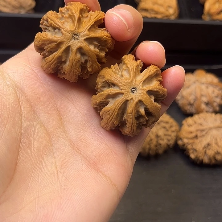 核桃秦岭突突突突突突2