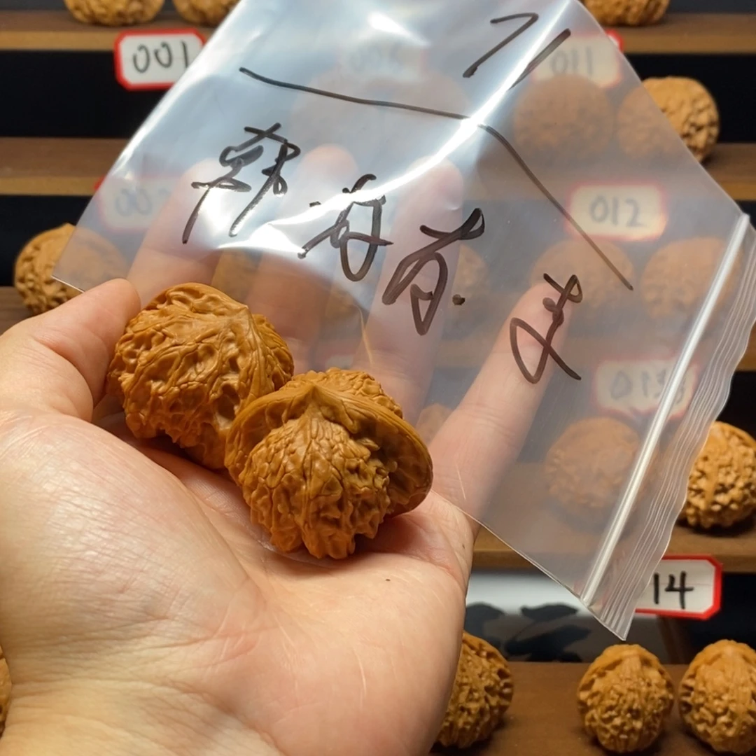 44尺微修大耳朵图图