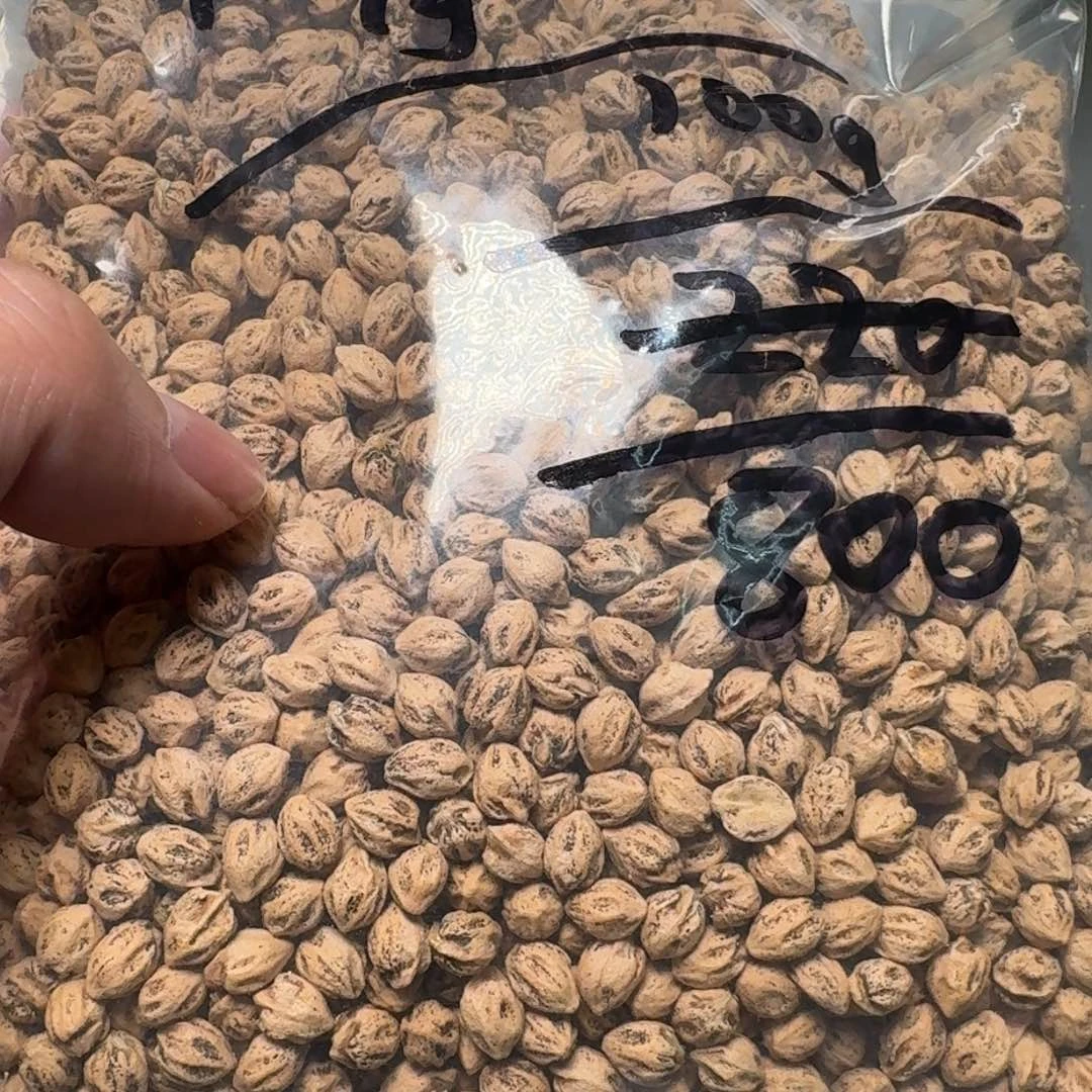 柏香籽/百香籽吊坠家****”