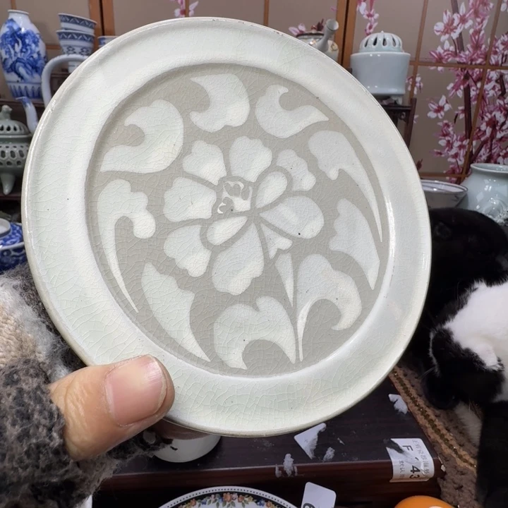 碗沙*555啊啊啊啊啊啊啊啊啊啊啊啊