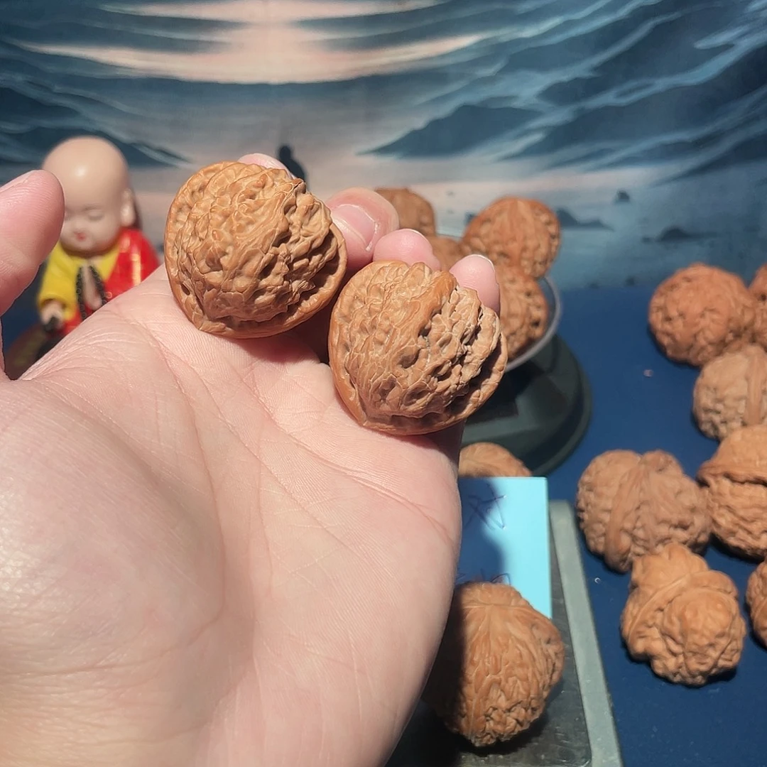 核桃35三角白（微修）